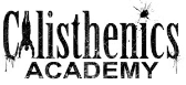 Blog Calisthenics Academy